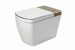 Toto Eco Ultramax WC allungato monopezzo